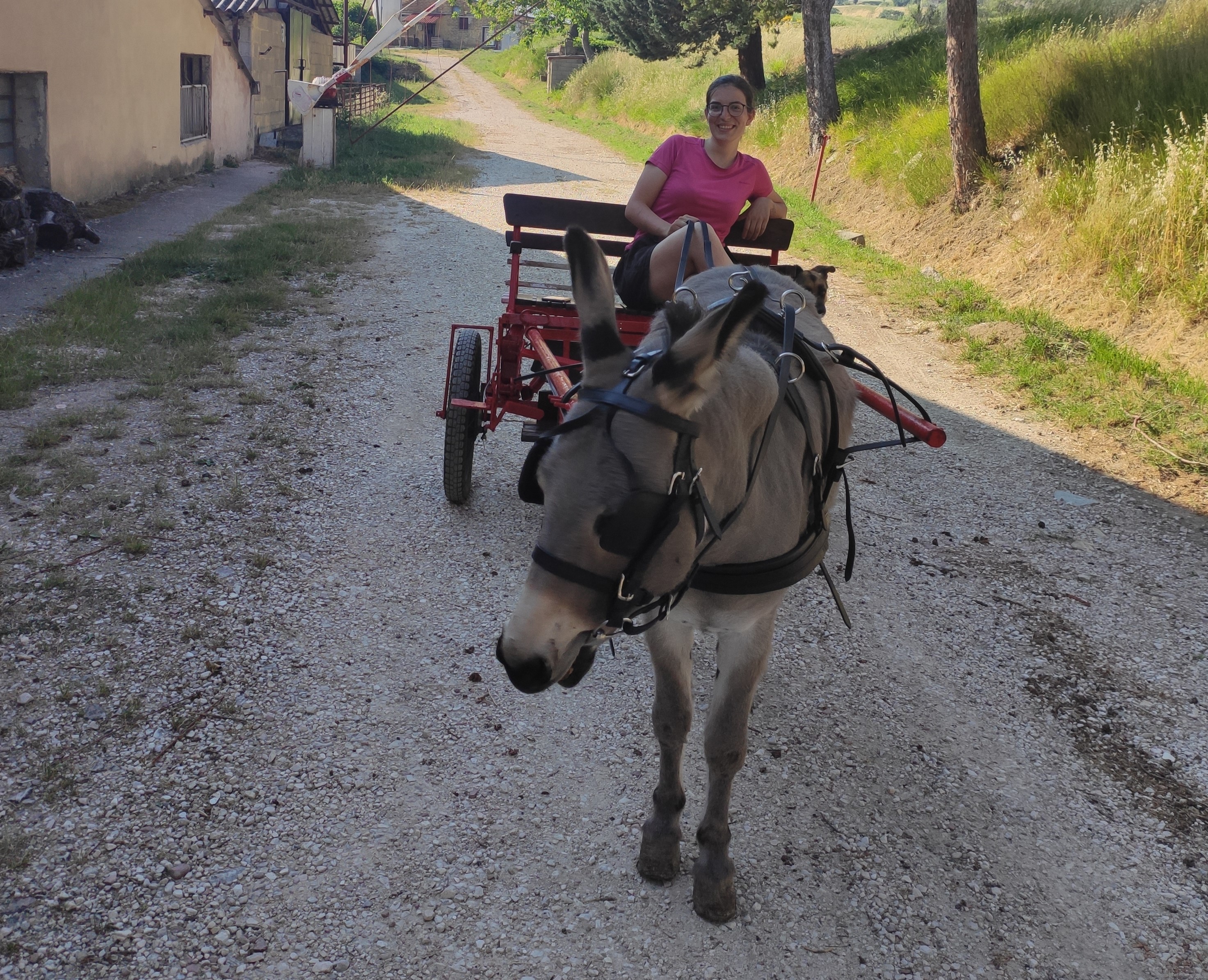 Calesse con asino - Agriturismo Nizzi ad Assisi - Umbria